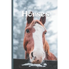 Picture Book Of Horses: Large Print Book For Seniors with Dementia or Alzheimer's - Paperback