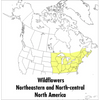 A Peterson Field Guide to Wildflowers: Northeastern and North-Central North America - Paperback