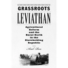 Grassroots Leviathan: Agricultural Reform and the Rural North in the Slaveholding Republic - Paperback