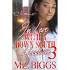 In Love With A Down South Hoodlum 3: An Urban Romance: Finale - Paperback