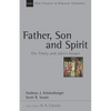Father, Son and Spirit: The Trinity and John's Gospel Volume 24 - Paperback