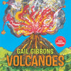 Volcanoes - Paperback