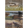 Meaningful Memories: Rekindling Past Learning Experiences to Live Life to the Fullest - Hardcover