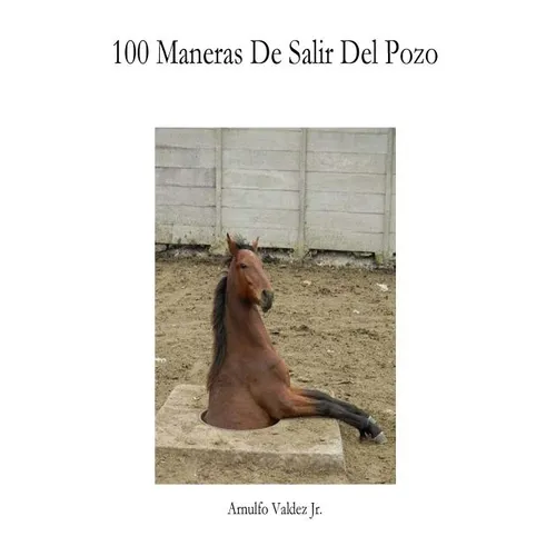 100 Maneras de Salir del Pozo: Ideas para emprender tu propio negocio - Paperback