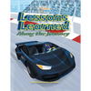 Lessons Learned Along The Journey - Paperback
