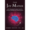 The Joy Matrix: Life-Changing Everyday Tools For Personal Healing and Transformation - Paperback