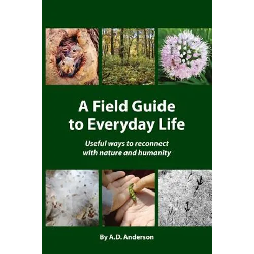 A Field Guide to Everyday Life: Useful Ways to Reconnect with Nature & Humanity - Paperback