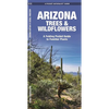 Arizona Trees & Wildflowers: A Folding Pocket Guide to Familiar Plants - Paperback