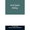 Ancient Egyptian metallurgy - Paperback