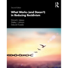 What Works (and Doesn't) in Reducing Recidivism - Paperback