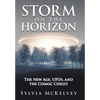 Storm on the Horizon: The New Age, Ufos, and the Cosmic Christ - Hardcover