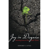 Joy in Disguise: Meeting Jesus in the Dark Times - Paperback
