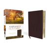 Amplified Bible-Am: Captures the Full Meaning Behind the Original Greek and Hebrew - Bonded Leather
