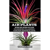 Air Plant: Step by Step Guide to Growing Tillandsia + Tips for Indoor Plants - Paperback