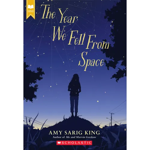 The Year We Fell from Space (Scholastic Gold) - Paperback