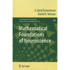 Mathematical Foundations of Neuroscience - Paperback
