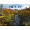 Trout - Hardcover