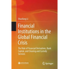 Financial Institutions in the Global Financial Crisis: The Role of Financial Derivatives, Bank Capital, and Clearing and Custody Services - Paperback