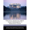 Critical Issues in Large-Scale Assessment: A Resource Guide - Paperback