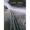 Steal Away: Selected and New Poems - Paperback