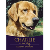 Charlie: A Love Story - Paperback