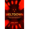 Meltdown: Nuclear Disaster and the Human Cost of Going Critical - Paperback
