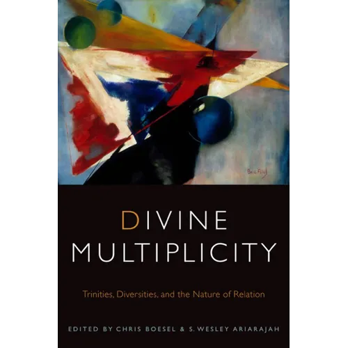 Divine Multiplicity: Trinities, Diversities, and the Nature of Relation - Paperback