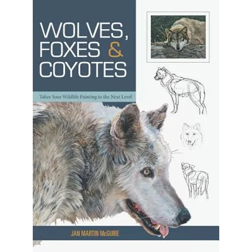 Wolves, Foxes & Coyotes (Wildlife Painting Basics) - Hardcover