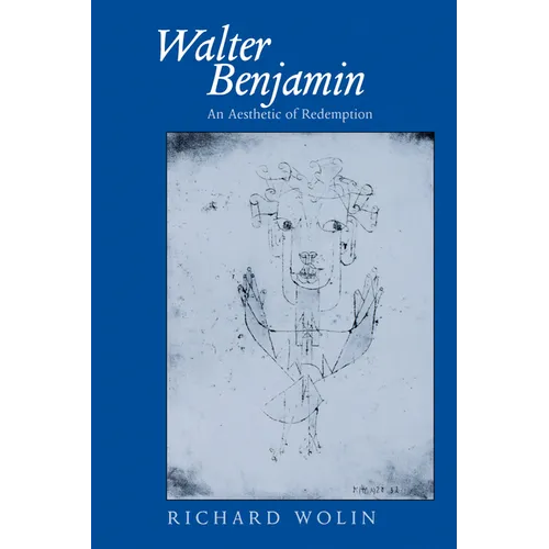 Walter Benjamin: An Aesthetic of Redemption Volume 7 - Paperback