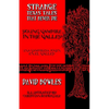 Young Vampire in the Valley - Paperback