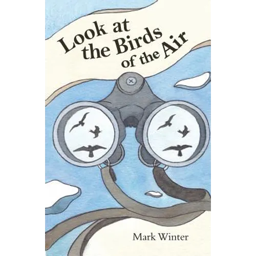 Look at the Birds of the Air: Lessons from Birds in the Bible - Paperback