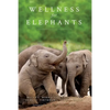 Wellness for Elephants: Proceedings of the Jacksonville Workshop - Paperback