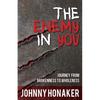 The Enemy in You: Journey from Brokenness to Wholeness - Paperback