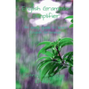 English Grammar Simplifier - Paperback