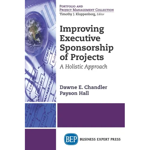 Improving Executive Sponsorship of Projects: A Holistic Approach - Paperback