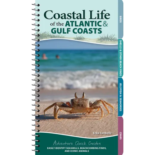 Coastal Life of the Atlantic and Gulf Coasts: Easily Identify Seashells, Beachcombing Finds, and Iconic Animals - Spiral