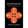 Synchronicity: Nature and Psyche in an Interconnected Universe Volume 15 - Paperback