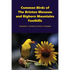 Common Birds of The Brinton Museum and Bighorn Mountains Foothills - Paperback