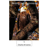 Birding for Beginners - Paperback