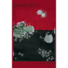 Amorisco - Paperback