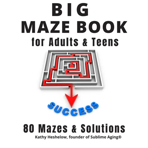 Big MAZE Book for Adults and Teens, 80 Mazes and Solutions: Challenging Maze Brain Teasers for Endless Fun - Paperback