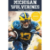 Michigan Wolverines Football Fun Facts - Paperback