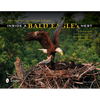 Inside a Bald Eagle's Nest: A Photographic Journey Through the American Bald Eagle Nesting Season - Hardcover