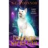 Every Witch Way but Feral - Paperback