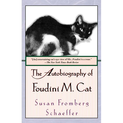 The Autobiography of Foudini M. Cat - Paperback