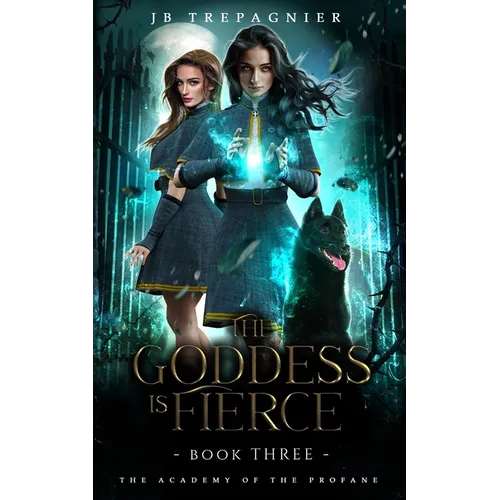 The Goddess is Fierce: A Paranormal Academy Why Choose Romance - Paperback