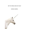Why the World Does Not Exist - Paperback
