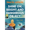 Shine On, Bright and Dangerous Object - Paperback
