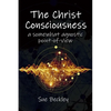The Christ Consciousness: A Somewhat Agnostic Point-of-View - Paperback