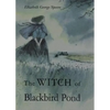 The Witch of Blackbird Pond: A Newbery Award Winner - Hardcover